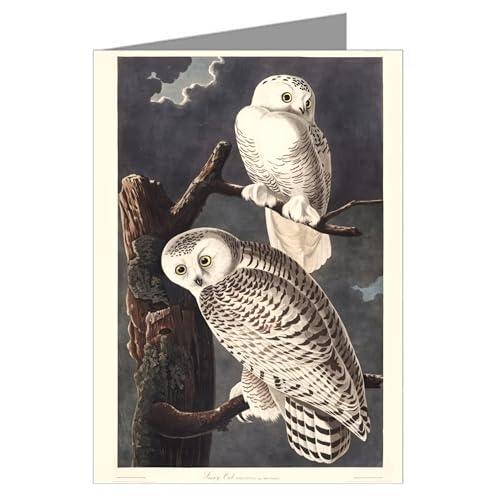 Image of Epic Greeting Cards Twelve Assorted Notecards Of John James Audubon Celebrated Illustrations Of Audubon's Birds Of North America Featuring Series I