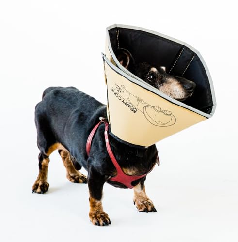 All Four Paws „The Comfy Cone“ Halskrause für Haustiere,Small