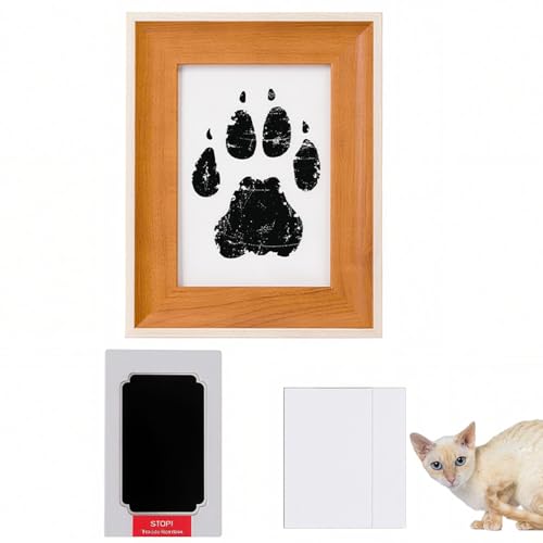 Lifetips W[}bNX German Rex ybgp  X^v Lbg ^  ``X^v `쐬Lbg LO  Ȃ `    ` ^ ȒP S y Ճpbh IWi vg 