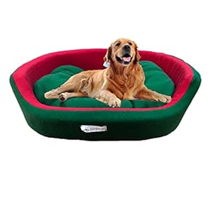 Poofy’s Pet Island Medium Size Dog & Cat Bed Dual Color Green Red Ultra Soft Fleece Fabric Oval Shape Pet Kitten Bed
