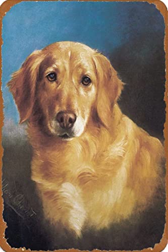 Be[W uL Ŕ S[fgo[wbhX^fBqqBe[WA[gvg uL Ŕ AJ W 20X30cm