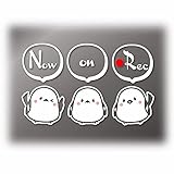 シマエナガ カッティングステッカー 3匹セットドラレコ ドライブレコーダー表示 (白色, ●Rec)