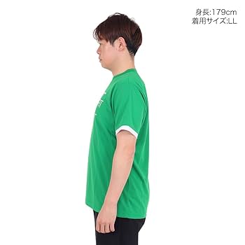 【人気カラー】インターハイ デサント DESCENTE Tシャツ XOサイズ 人気カラー】インターハイ デサント DESCENTE Tシャツ XOサイズ