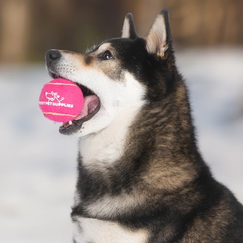 Image of Best Pet Supplies Interactive Squeaky Dog Chew Toy, Ideal Dog Toys for Chewers, Small, Medium & Large Dogs, and Fetch Lovers - Tennis, Medium (Pack of 8)