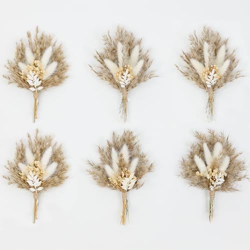 Mini Dried Flower Bouquet Set of 6, Boho Wedding Decor, Boutonniere for Men,Table Centerpieces, Dry Pampas Grass,Birthday Cake Flowers,Personalized Bridesmaid Gift Box,Small Bottles Decoration.(White)