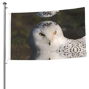 Xlewsieu Black-48 Schneeeule Flagge 1,5 x 2,4 m