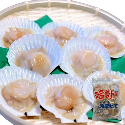 日海水産 ニッカイ ホタテ ほたて 中サイズ 貝柱 バター醤油 バター焼き 卵 冷凍 炊き込みご飯 貝ひも 貝殻 貝付き 北海道 噴火湾産 片貝 片貝ほたて 10枚 バーベキュー BBQ キャンプ アウトドア 浜焼き【日海水産】