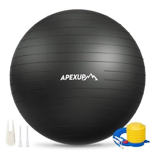APEXUP Stability Yoga Ball Chair