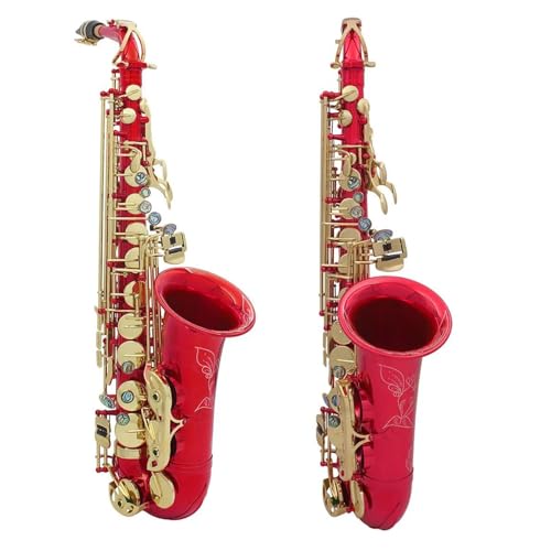 S҃TbNX bhAgTbNX EtbgAgTbNX EbTbNX ^Jfރvdl̊y(Red saxophone)