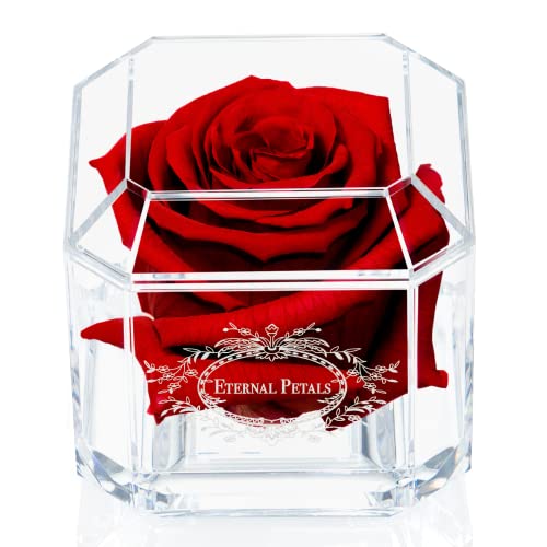Eternal Petals A 100% Real Rose That Lasts Years, Handmade in London, Flowers Delivery Next Day Prime UK - White Gold Solo (Deep Red)