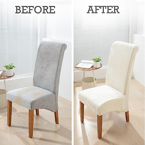 Image of HOKIPO Velvet Long Back Chair Covers Set of 1, Beige (AR-4760-BGE)
