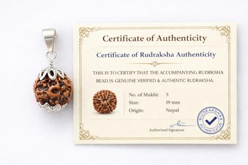 Image of Certified 5 Mukhi Rudraksha Pendant | Original Panchmukhi Bead with Certificate | Natural Nepali Rudraksha for Men & Women | Spiritual Locket With Black Thread