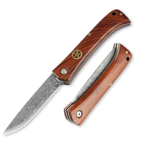 JoyRaining LuckyStar Damascus Pocket Knife...