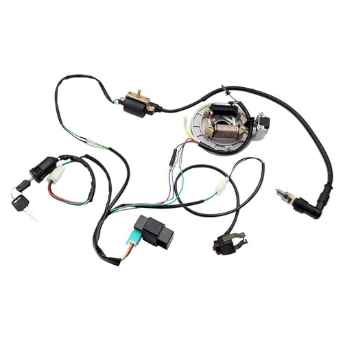 Image of PRO BAT Lifan Stator Kick Electrics Wire Harness Kit Complete Electrics Wire Harness CDI Coil Magneto for 50cc 70cc 90cc 110cc 125cc 140cc Pit Dirt Bike ATV SSR Coolster Purple
