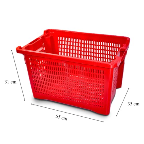 FCI - 10 cajas para aceitunas apilables, aptas para frutas y cosecha de aceitunas, 10 unidades (10)