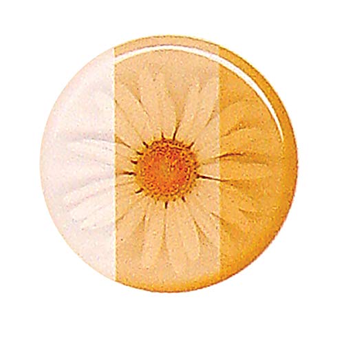 Environmental Technology Castin’ Craft Universal Transparent Resin Dye (1 oz | Amber-Colored) Liquid Coloring Pigments for Polyester & Casting Epoxy | DIY Jewelry Making Concentrated Colorant Drops