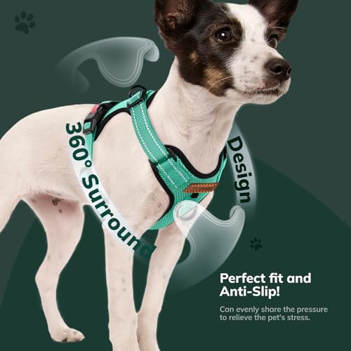 FAYOGOO Hundegeschirr, Kein Choke Front Clip Hund Reflektierendes Geschirr, No-Pull Verstellbare Weiche Gepolsterte Haustier Weste Set für kleine Mittlere Große Hunde Gehen (Grün, M)