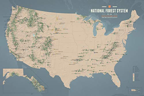 forest service maps - US National Forest System Map 24x36 Poster (Tan & Slate Blue)