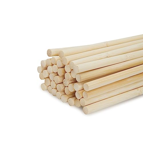 MENDI 40 Bambusstäbe Stabilisierung Pflanzenstäbe Tonkinstab Orchideenstab 70 cm x 8 mm