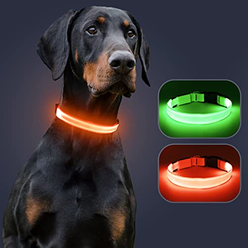 KOSKILL Leuchthalsband Hund Wiederaufladbare USB LED Hundehalsband Wasserdichtes Leuchtendes Hunde Halsband Einstellbare Super Helle für Mittlere Große Hunde (Orange, M)