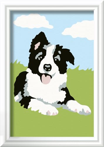 Ravensburger - CreArt Kids 8x12 cm - Numéro d'art - Border Collie - Kit de Peinture par numéros - Dès 7 Ans - 25593