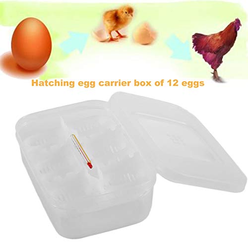 qingtang37 Practical Plastic 12 Holes Reptile Egg Incubation Tray With Thermometer Incubating Snake Eggs Incubation Tool