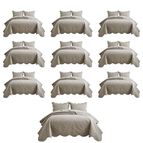 IR Imperial Rooms 10 Pack Queen Quilt Bedding Set (90" x 96") - Bulk Wholesale for Hotels, Guest Bedroom & Airbnbs - Lightweight Microfiber Reversible Floral Embossed Quilts Bedspreads (Beige)