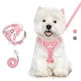VavoPaw Cat Harness and Leash Set for Walking, Adjustable Kitten Vest Harness with Reflective Strip Breathable Mesh, Escape Proof Soft Pet Safety Vest for Cats, Kittens, Puppies, XL, Pink