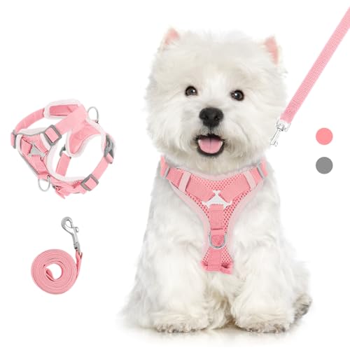 VavoPaw Cat Harness and Leash Set for Walking, Adjustable Kitten Vest Harness with Reflective Strip Breathable Mesh, Escape Proof Soft Pet Safety Vest for Cats, Kittens, Puppies, XL, Pink