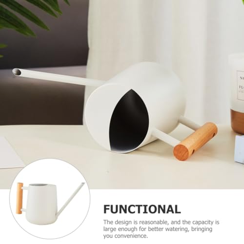 Watering Can Indoor Plants, 30oz/900ml Small Plant Watering Can with Long Spout, Stainless Steel Garden Watering Cans Outdoor Watering Pot for Indoor House Plants Bonsai Flower Decorative