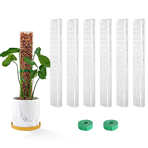 Bluepro 15 Inch 6 Pcs Plastic Moss Pole for Plants Monstera 615 Plant Poles for Climbing Plants Plant Support for Indoor Plants Work with Sphagnum Moss