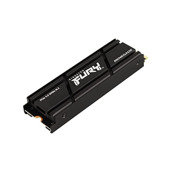 Kingston FURY Renegade 500G PCIe 4.0 NVMe SSD W/ HEATSINK - Für Gamer, Enthusiasten und Hochleistungsnutzer- SFYRSK/500G
