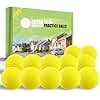 FINGER TEN Golf Practice Balls True Flight More Weight Value 12 Pack,1/3 Distance of Regulation Golf Ball for Backyard Garden School, Real Golf Ball Feel Indoor Outdoor Use (Yellow)
