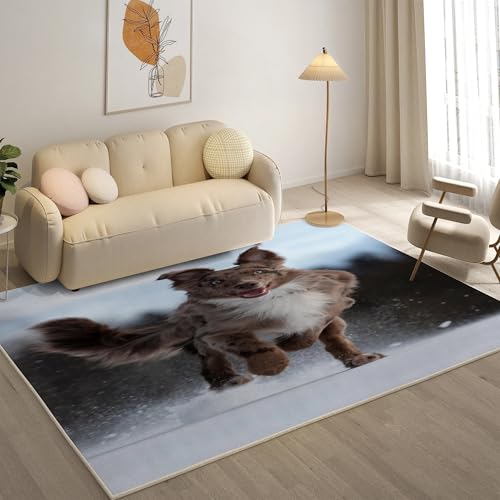 ラグ 100×140」の人気商品一覧 | 安い商品を通販サイトから探す