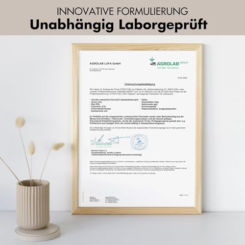 DAO Kapseln 120 Stück (hochdosiert) - 300,000 HDU pro Tagesdosis - DAO Enzym aus Erbsenprotein - vegan & laborgeprüft