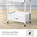 OmySalon Salon Trolley Cart with Wheels, Esthetician Cart with 2 Drawers & 2 Trays, Mobile Storage Organizer for Beauty Spa Massage Tattoo Esthetic Facial Tool Holder Station, White
