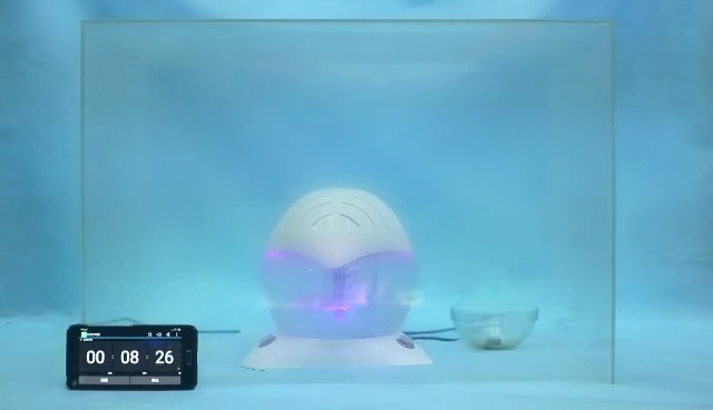 Amazon.com: EcoGecko Color Wheel Air Cleaner, Humidifier