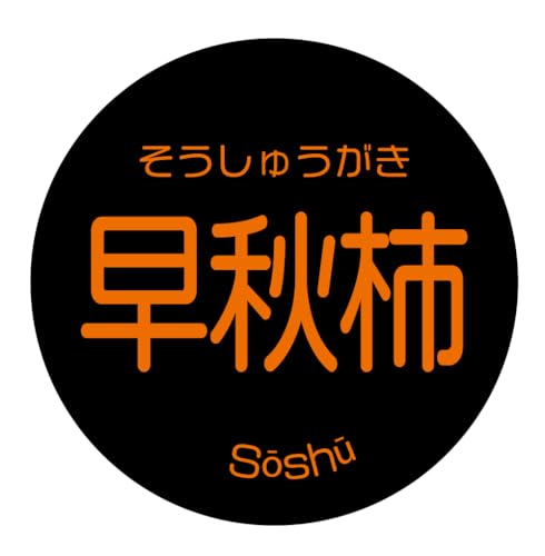 [ChC񂽂] ` i V[ 240 ی`30~ A[g Ɩp ʕx (0010_H`)