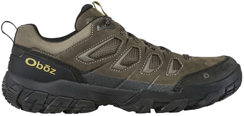 Image of Oboz Men's Sawtooth X Low Hiking Shoe