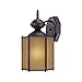 Bronze Outdoor Wall Light with Compact Fluorescent Light Bulb