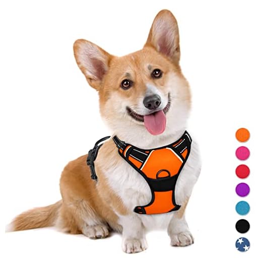 PoyPet No Pull Dog Harness Reflective Vest Harness | Dog Harness BARKBAY No Pull Dog Harness Large Step in Reflective Dog Harness with Front Clip and Easy Control Handle for Walking Training Running(Orange,M)