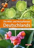 Die Wild- und Nutzpflanzen Deutschlands: Vorkommen – Ökologie – Verwendung
