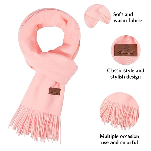 Pashmina Scarf Winter Warm Solid Colors Scarves and Wraps Classic Soft Fashion Shawl Wrap Fringe For Men Women2
