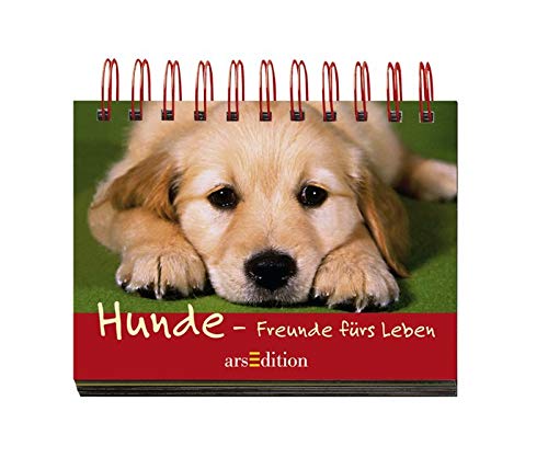 Hunde - Freunde fürs Leben Hunde - Freunde fürs Leben