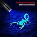 TaoTronics Black Light, 12 LEDs 395nm UV Blacklight Flashlights Detector for Pets Urine and Stains with 3 Free AAA Batteries