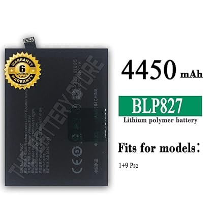 Image of THE BATTERY STORE Original BLP827 Battery for Oneplus 9 Pro LE2121, LE2125, LE2123, LE2120, LE2127 Battery with 6 Month Warranty**** (PP85)