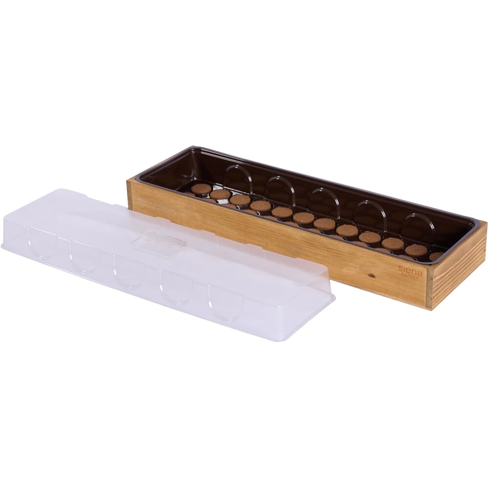 Siena Garden Anzuchtvollholzkiste mit 36 Quelltabs