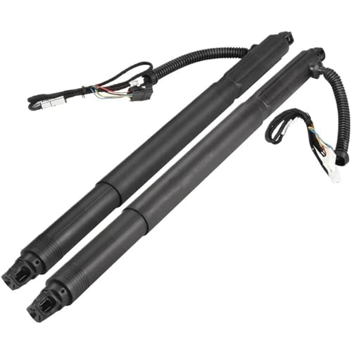 Vérins à gaz hayon électrique pour simplifier le chargement des bagages du BMW X6 E71