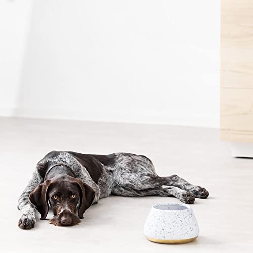 Navaris Design Futternapf aus Steingut - hoher Hundenapf - Fressnapf Futterschale - Napf für Cocker Spaniel Hund und langohrige Hunde - Langohrnapf