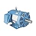 Electric Motor OW75-9-445T Prem Eff 75HP 445T 230/460/796 900RPM R
